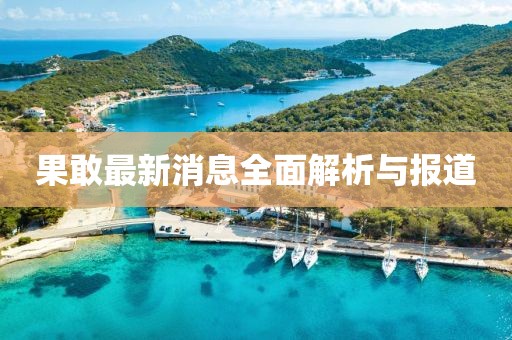 果敢最新消息全面解析與報道