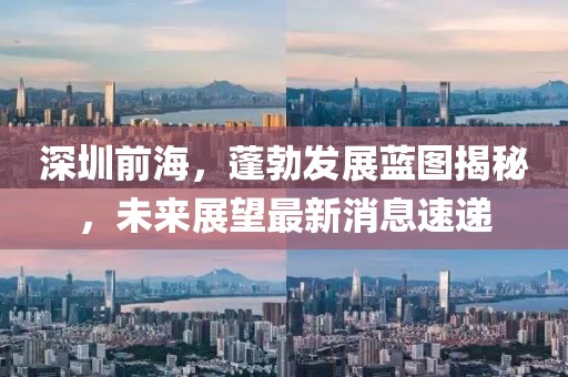 深圳前海，蓬勃發(fā)展藍(lán)圖揭秘，未來(lái)展望最新消息速遞