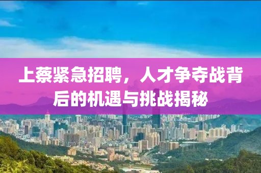 飄云的天空 第21頁