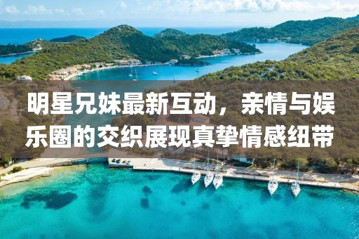 明星兄妹最新互動，親情與娛樂圈的交織展現(xiàn)真摯情感紐帶