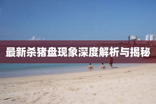 最新殺豬盤現(xiàn)象深度解析與揭秘
