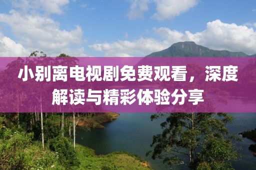 小別離電視劇免費(fèi)觀看，深度解讀與精彩體驗(yàn)分享