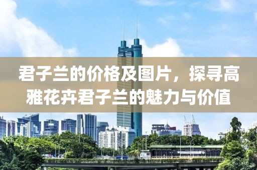 君子蘭的價(jià)格及圖片，探尋高雅花卉君子蘭的魅力與價(jià)值