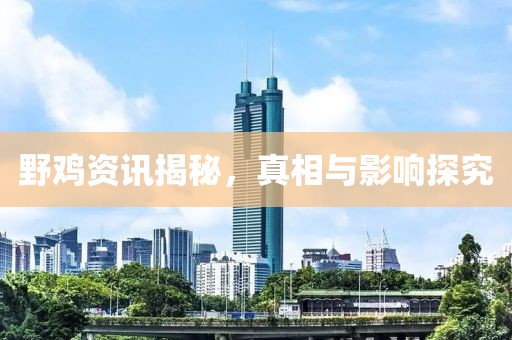 野雞資訊揭秘，真相與影響探究