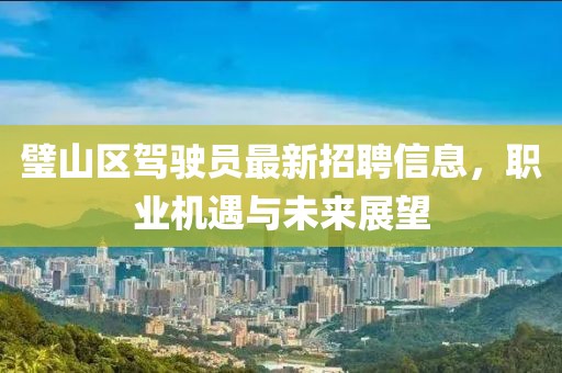 璧山區(qū)駕駛員最新招聘信息，職業(yè)機(jī)遇與未來(lái)展望