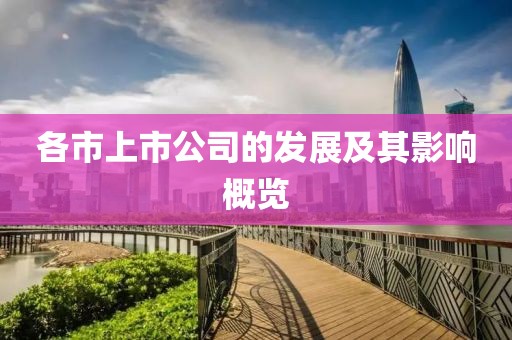 各市上市公司的發(fā)展及其影響概覽