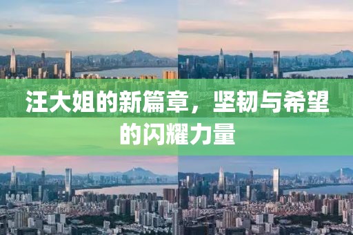 汪大姐的新篇章，堅(jiān)韌與希望的閃耀力量