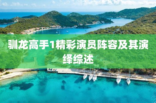馴龍高手1精彩演員陣容及其演繹綜述