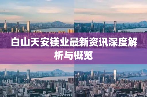 白山天安鎂業(yè)最新資訊深度解析與概覽