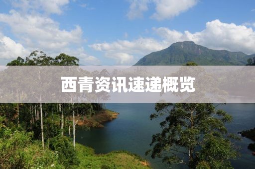 西青資訊速遞概覽