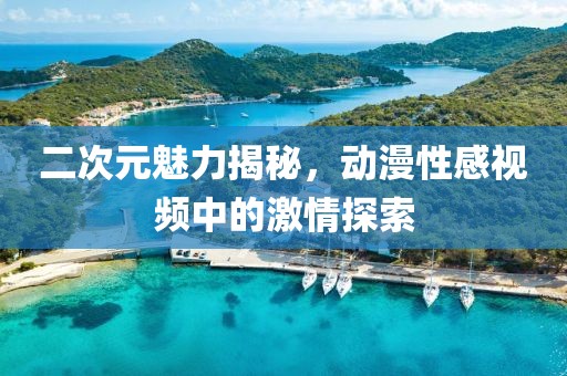 二次元魅力揭秘，動漫性感視頻中的激情探索