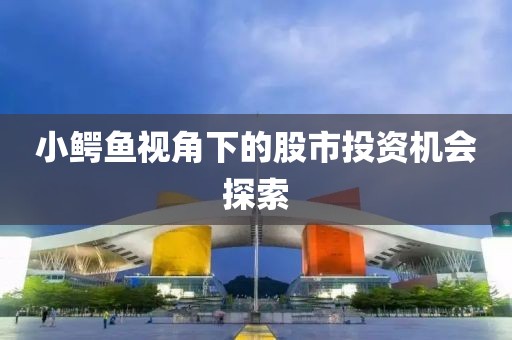 小鱷魚(yú)視角下的股市投資機(jī)會(huì)探索
