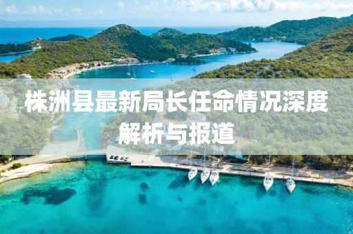 株洲縣最新局長任命情況深度解析與報道