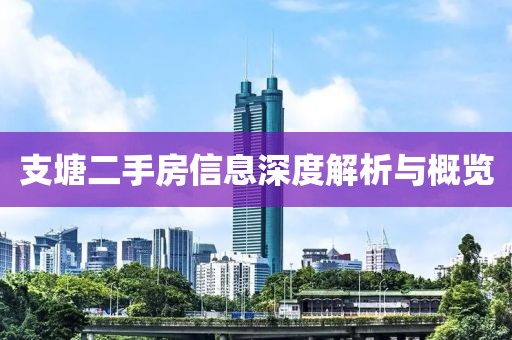 支塘二手房信息深度解析與概覽