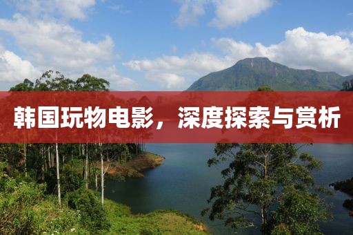 韓國玩物電影，深度探索與賞析