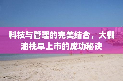 2025年2月 第46頁(yè)