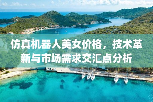 仿真機器人美女價格，技術(shù)革新與市場需求交匯點分析