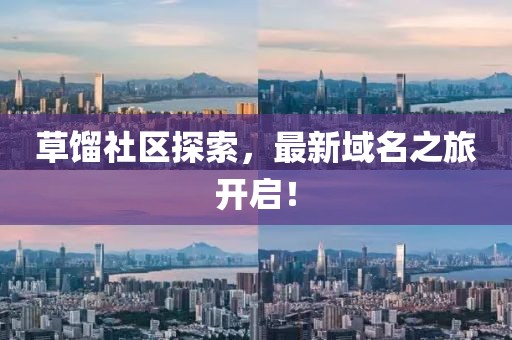 草餾社區(qū)探索，最新域名之旅開啟！