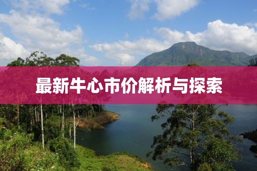 最新牛心市價(jià)解析與探索