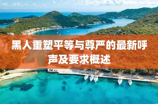 黑人重塑平等與尊嚴(yán)的最新呼聲及要求概述