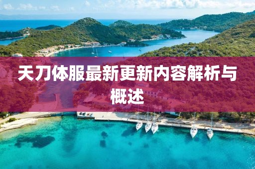 天刀體服最新更新內(nèi)容解析與概述