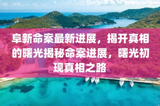 阜新命案最新進(jìn)展，揭開真相的曙光揭秘命案進(jìn)展，曙光初現(xiàn)真相之路