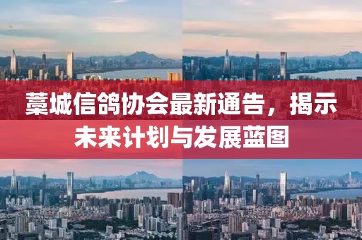 藁城信鴿協(xié)會(huì)最新通告，揭示未來計(jì)劃與發(fā)展藍(lán)圖