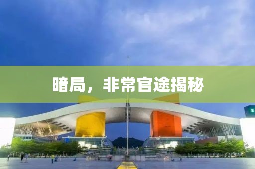 暗局，非常官途揭秘