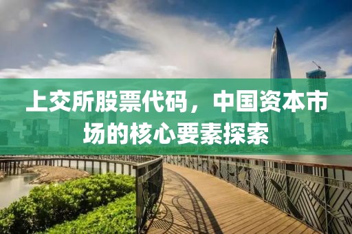 上交所股票代碼，中國資本市場的核心要素探索