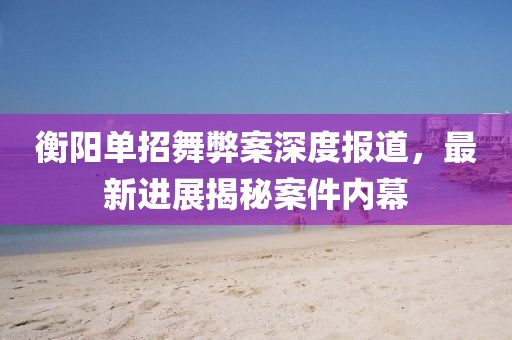 衡陽單招舞弊案深度報(bào)道，最新進(jìn)展揭秘案件內(nèi)幕