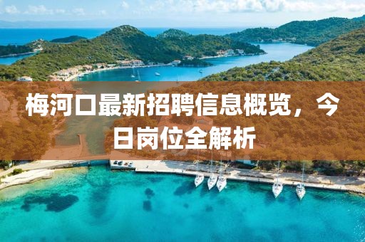 梅河口最新招聘信息概覽，今日崗位全解析