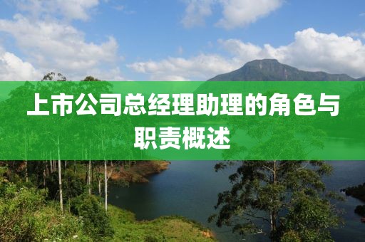 上市公司總經(jīng)理助理的角色與職責(zé)概述
