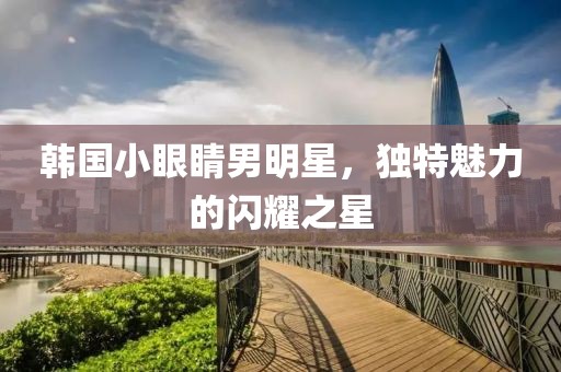 韓國(guó)小眼睛男明星，獨(dú)特魅力的閃耀之星