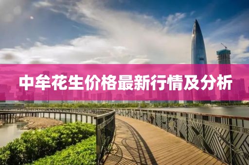 中牟花生價(jià)格最新行情及分析
