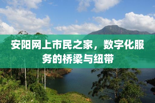 安陽網(wǎng)上市民之家，數(shù)字化服務(wù)的橋梁與紐帶
