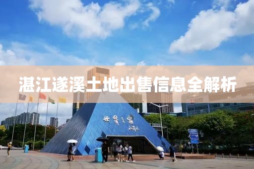 湛江遂溪土地出售信息全解析