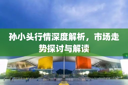 孫小頭行情深度解析，市場走勢探討與解讀