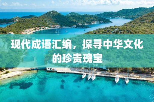 現(xiàn)代成語匯編，探尋中華文化的珍貴瑰寶