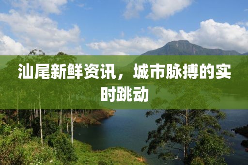 汕尾新鮮資訊，城市脈搏的實(shí)時(shí)跳動(dòng)