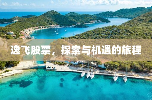 逸飛股票，探索與機遇的旅程