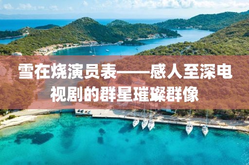 雪在燒演員表——感人至深電視劇的群星璀璨群像