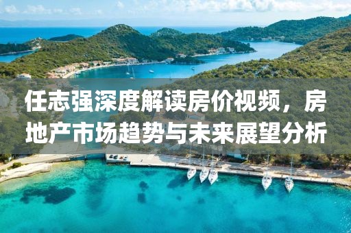 任志強深度解讀房價視頻，房地產(chǎn)市場趨勢與未來展望分析