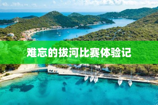 難忘的拔河比賽體驗記