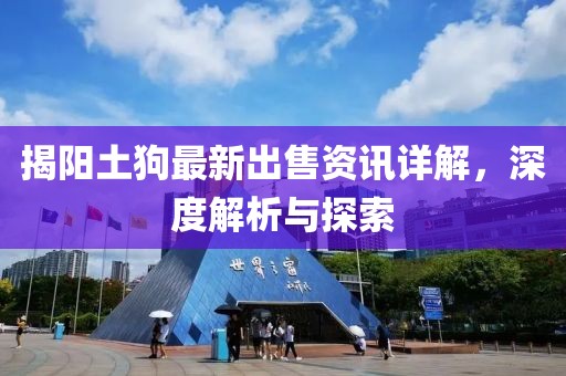 揭陽(yáng)土狗最新出售資訊詳解，深度解析與探索