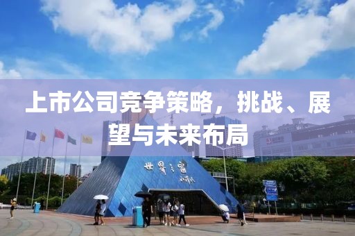 上市公司競爭策略，挑戰(zhàn)、展望與未來布局