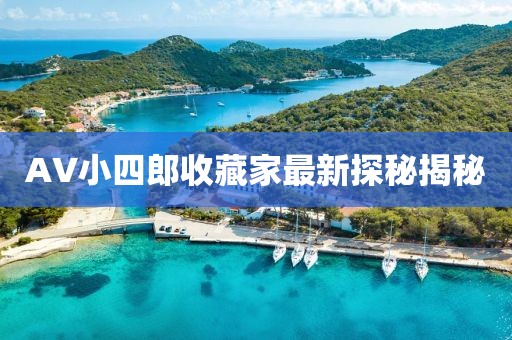 AV小四郎收藏家最新探秘揭秘