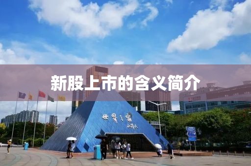 新股上市的含義簡介