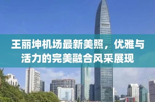 王麗坤機(jī)場最新美照，優(yōu)雅與活力的完美融合風(fēng)采展現(xiàn)