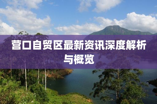 營(yíng)口自貿(mào)區(qū)最新資訊深度解析與概覽