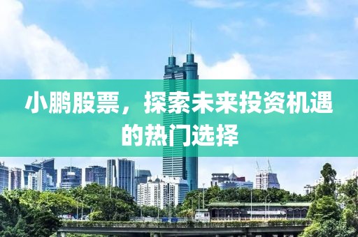 小鵬股票，探索未來(lái)投資機(jī)遇的熱門選擇